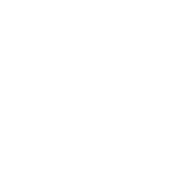 Clustering of Pigment Cells